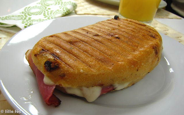 [panini1[8].jpg]